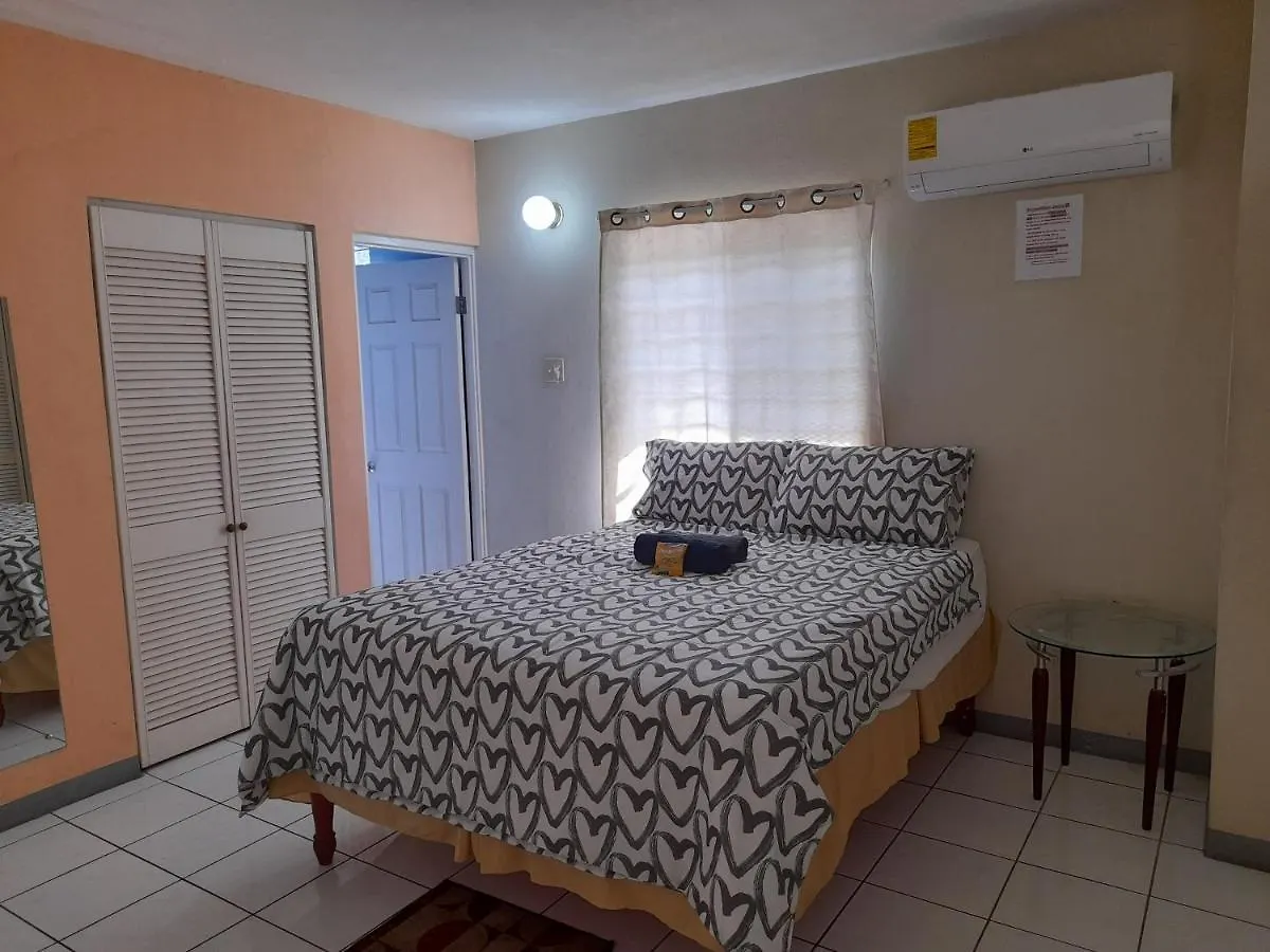 Camelia Rooms Kingston