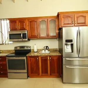Luxury Penthouse With Pool Apartment Kingston